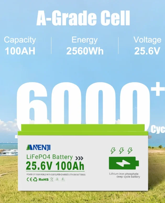 ANENJI 51.2V 100AH lithium iron phosphate battery 25.6V 100AH series battery pack BMS Class A 6000+cycle, with Bluetooth EU stock