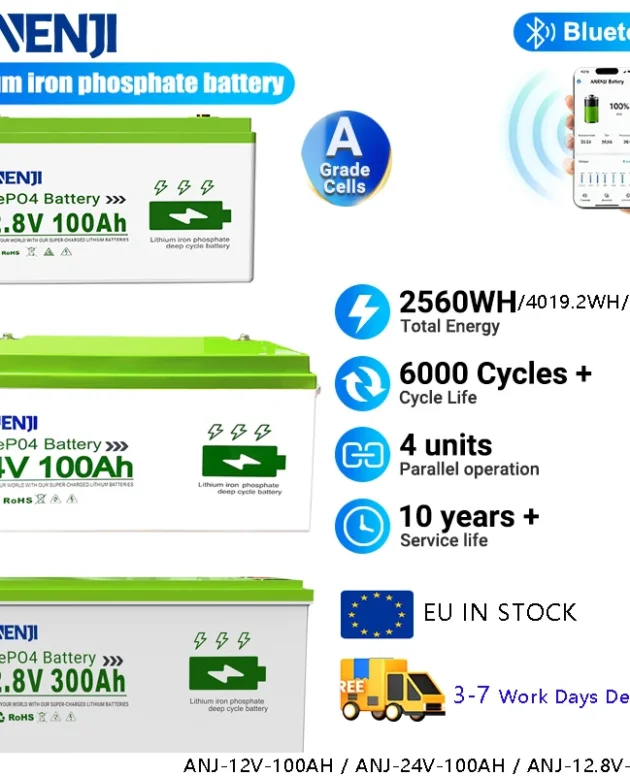 ANENJI LiFePO4 Battery 24V 100AH 12V 300AH 12V 100AH Pack 25.6V 12.8V 2.56KWH 1.28KWH 3.84KWH Rechargeable Lithium Battery Pack 6000+ Cycles Built-in BMS A Grade Cell with Bluetooth Monitoring for RV Inverter Solar Lithium Iron