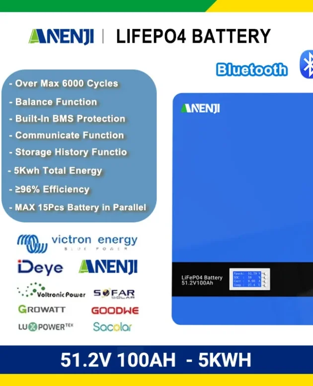 ANENJI 51.2V 100AH LiFePO4 Battery 5KWH Lithium Battery Powerwall 6000+ Cycles BMS Bluetooth Parallel 15pcs EU
